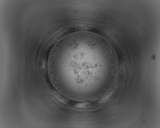 X0000089910178200707061006