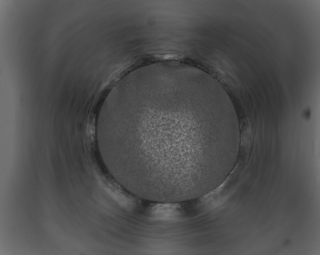 X0000089910179200707061006