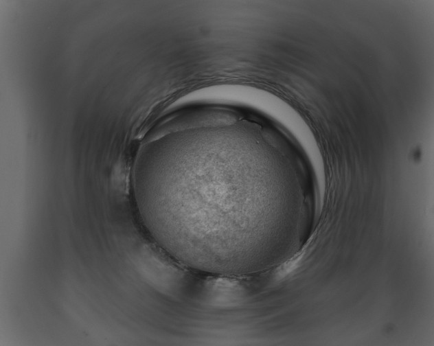X0000089910180200707061006