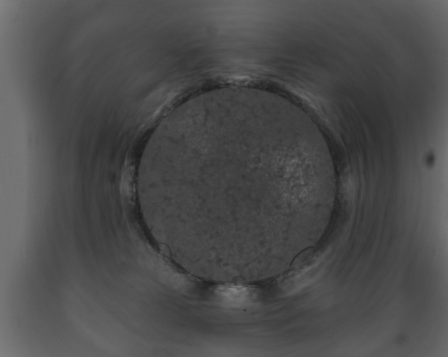 X0000089910181200707061006