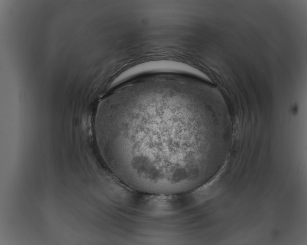 X0000089910182200707061006