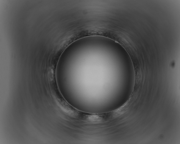 X0000089910183200707061006
