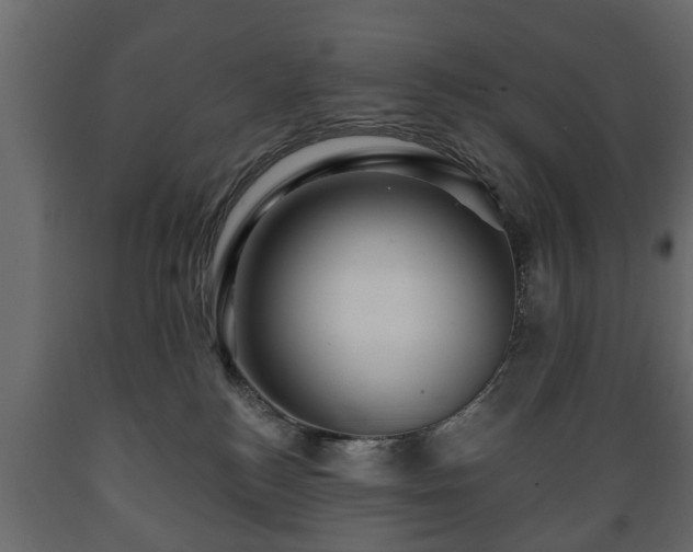X0000089910184200707061006