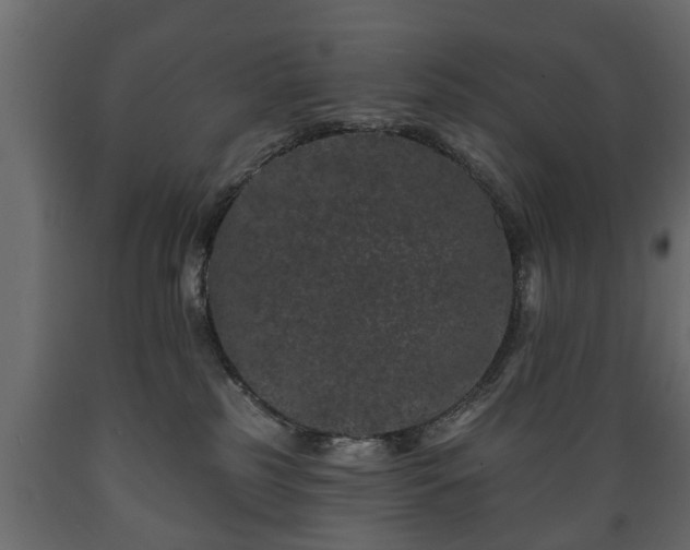 X0000089910185200707061006