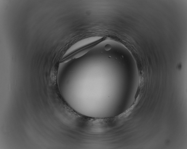 X0000089910186200707061006