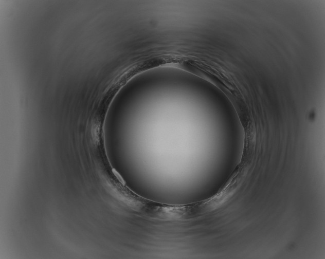 X0000089910188200707061006