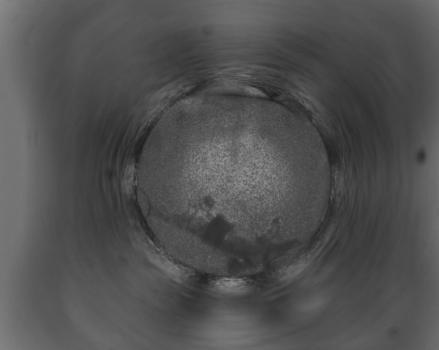 X0000089910189200707061006