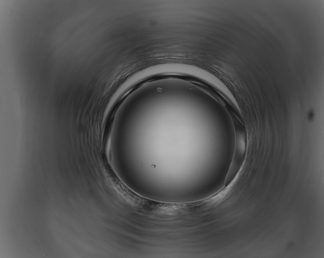 X0000089910190200707061006