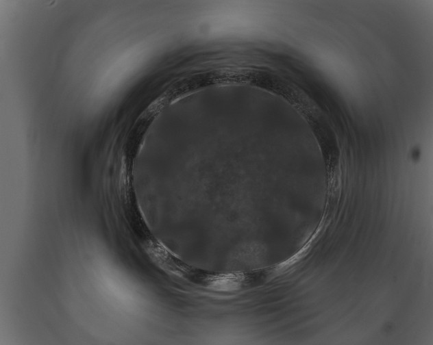 X0000089910191200707061006