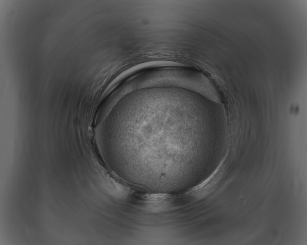 X0000089910192200707061006