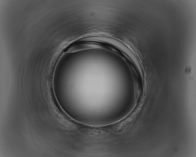 X0000089910193200707061006