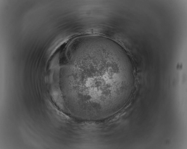 X0000089910194200707061006