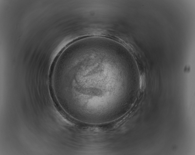 X0000089910195200707061006