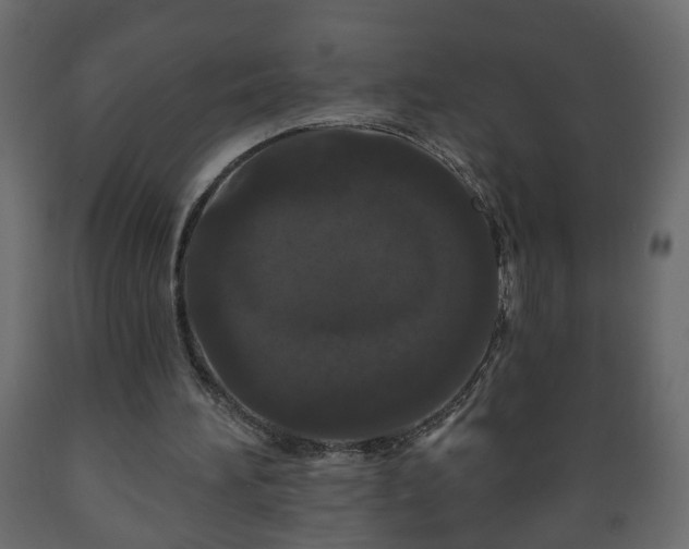 X0000089910196200707061006