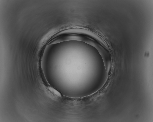 X0000089910197200707061006
