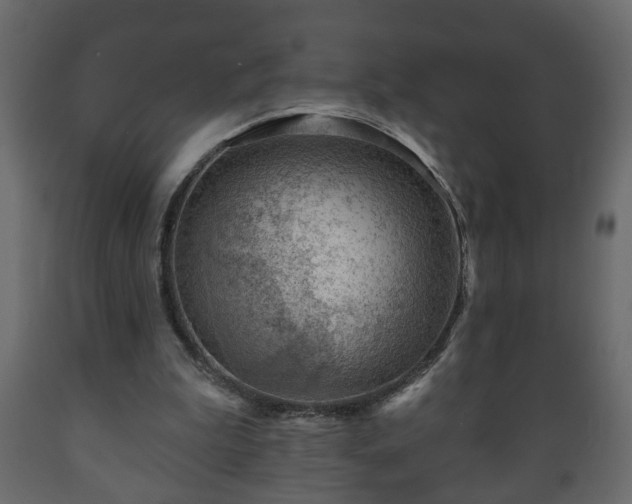 X0000089910199200707061006