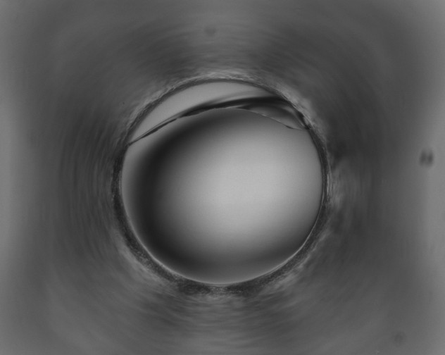 X0000089910201200707061006