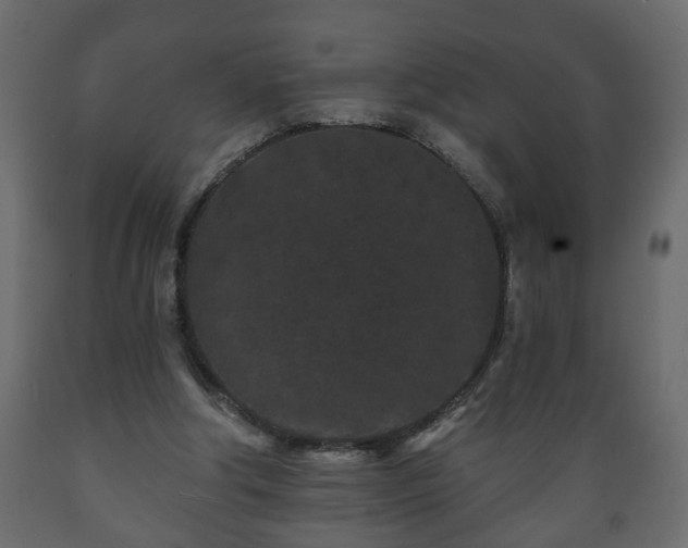X0000089910202200707061006