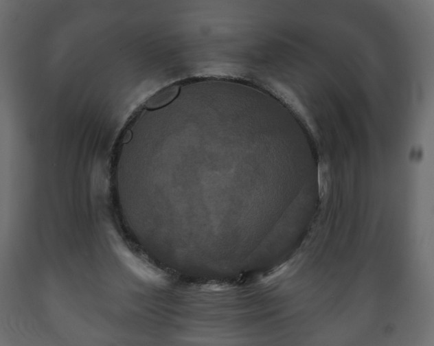 X0000089910204200707061005