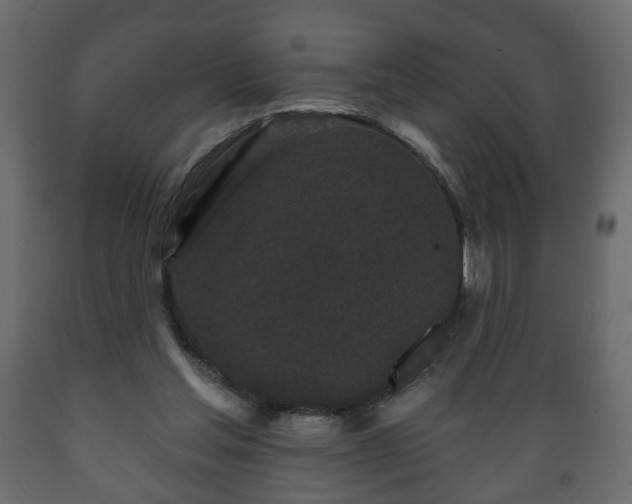 X0000089910205200707061005
