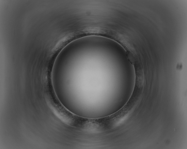 X0000089910207200707061005