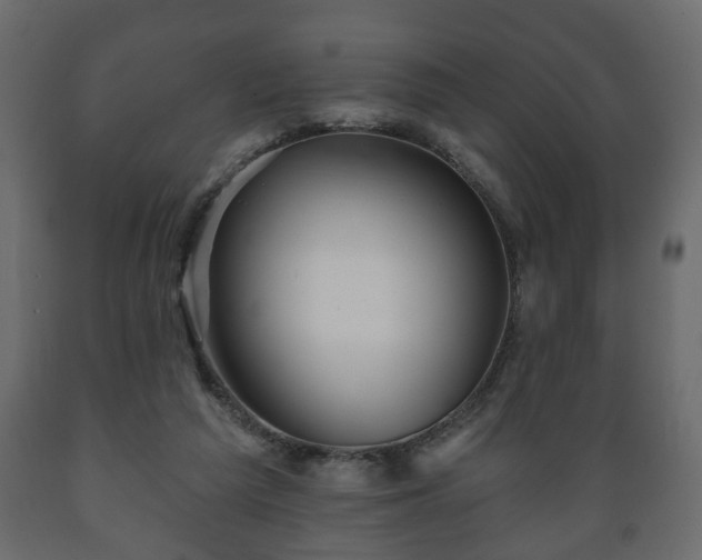 X0000089910209200707061005
