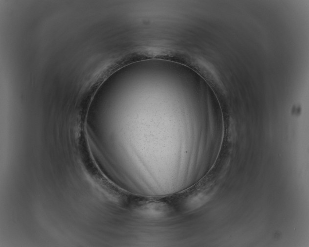 X0000089910210200707061005
