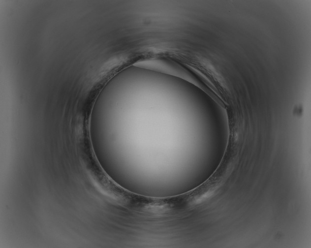 X0000089910213200707061005