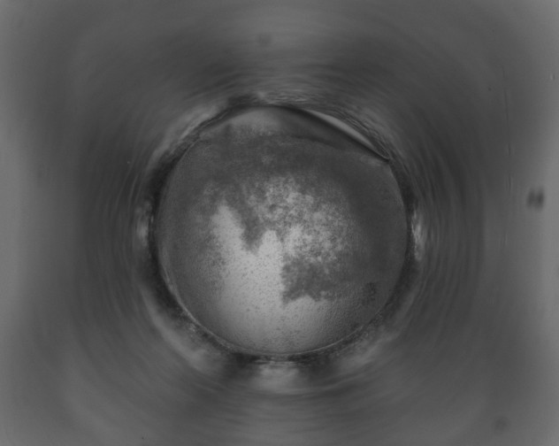 X0000089910214200707061005