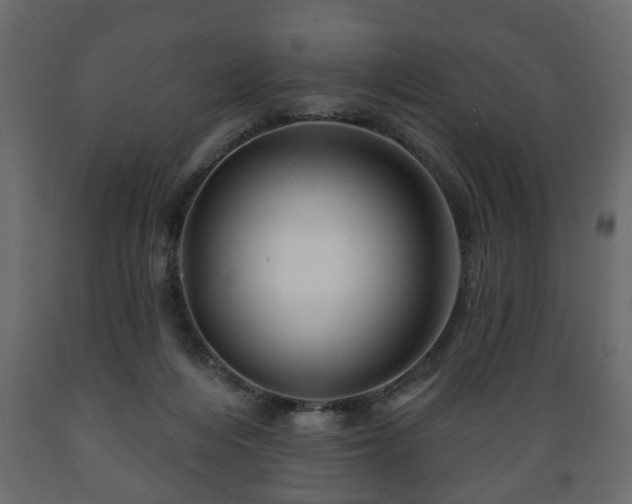 X0000089910216200707061005