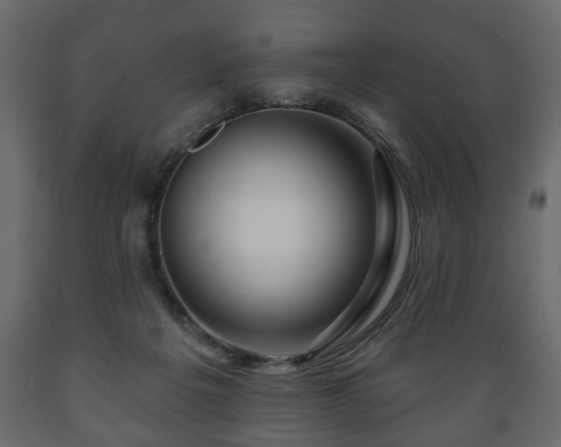 X0000089910217200707061005