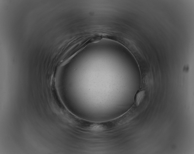 X0000089910218200707061005