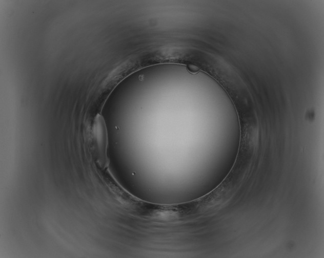 X0000089910220200707061005
