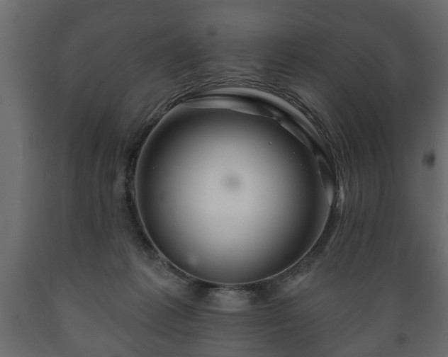 X0000089910221200707061005