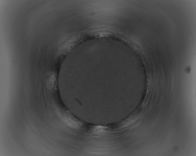 X0000089910222200707061005