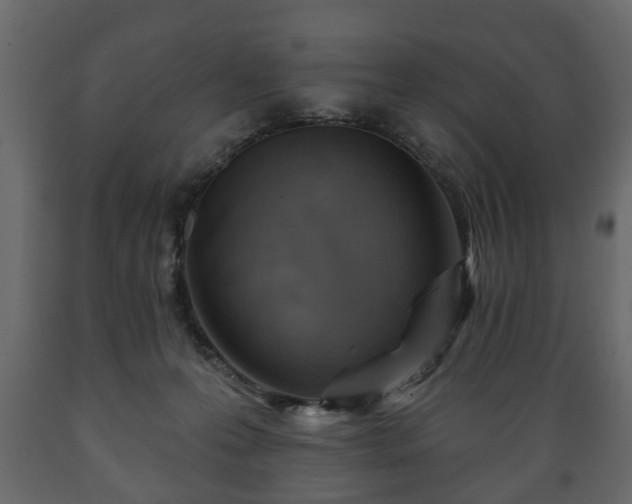 X0000089910223200707061005
