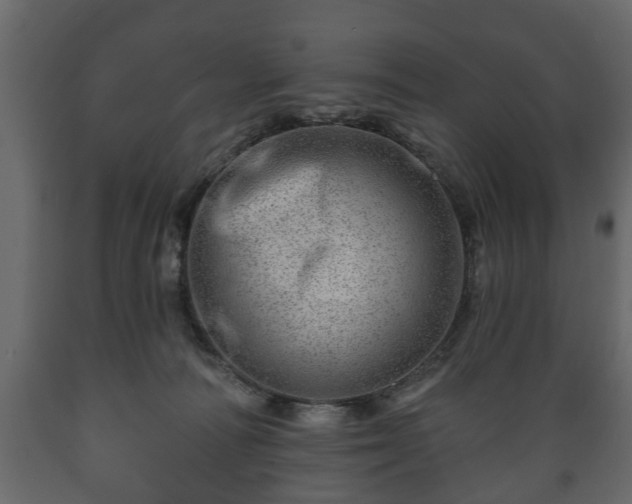 X0000089910226200707061005