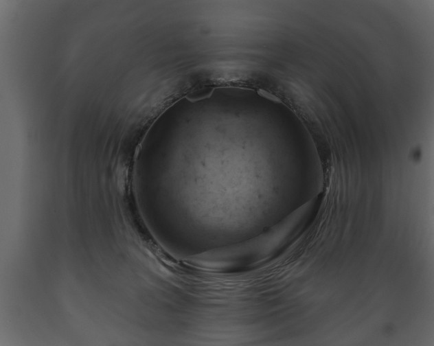 X0000089910227200707061005