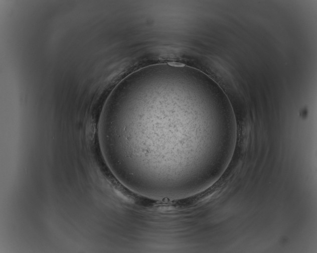 X0000089910228200707061005