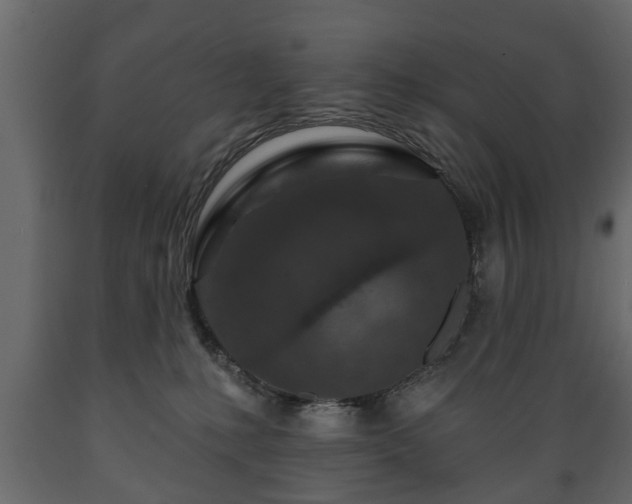 X0000089910231200707061005