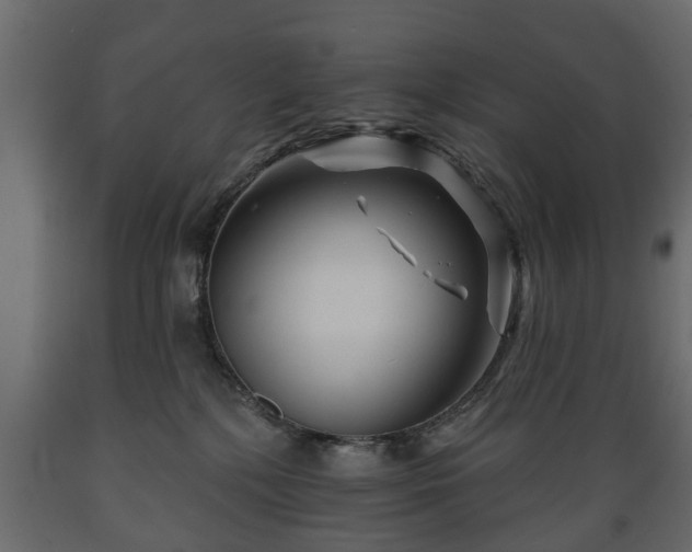 X0000089910232200707061005