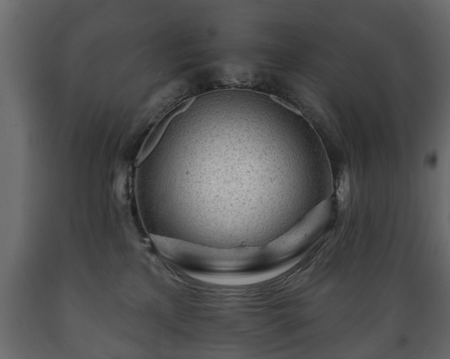 X0000089910233200707061005