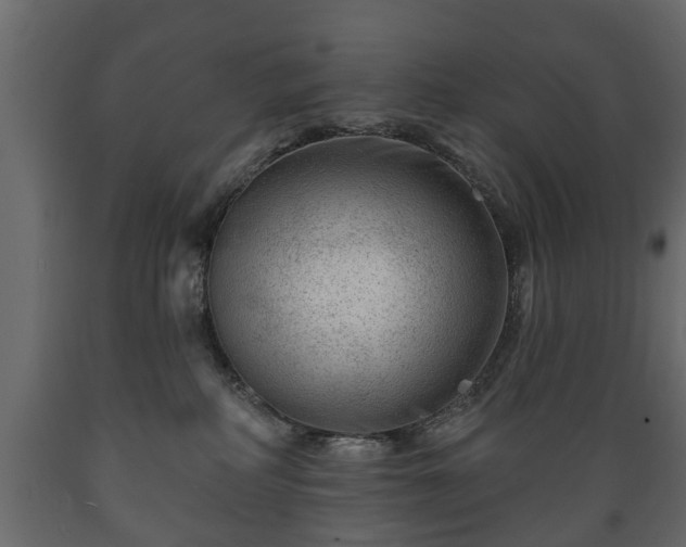 X0000089910234200707061005