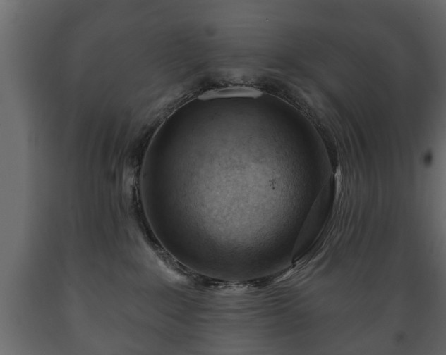 X0000089910235200707061005