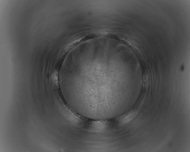 X0000089910238200707061005
