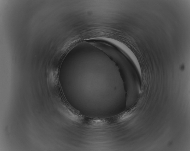 X0000089910239200707061005