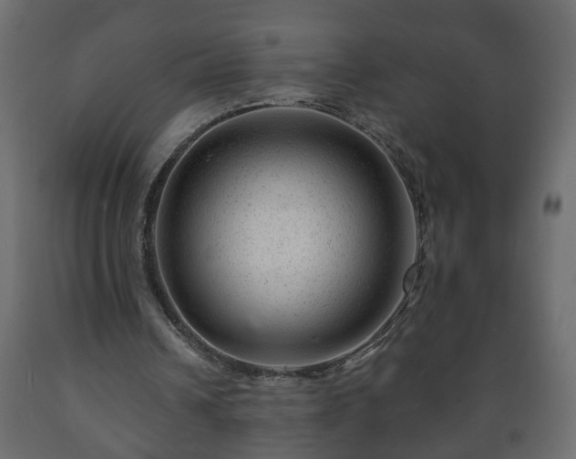 X0000089910242200707061004