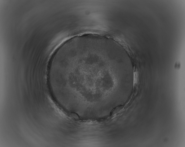 X0000089910243200707061004