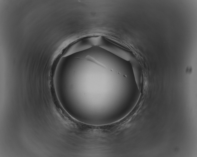 X0000089910244200707061004