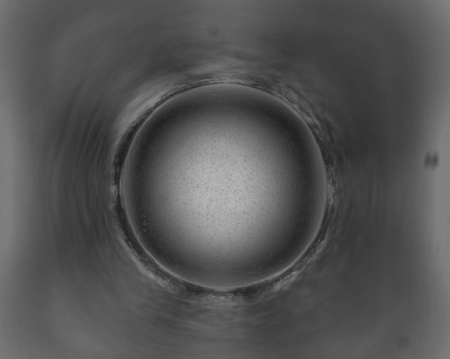 X0000089910245200707061004